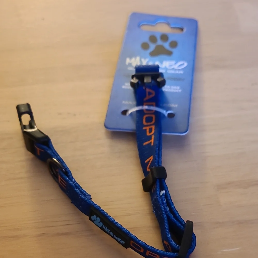 Blue Dog Collar